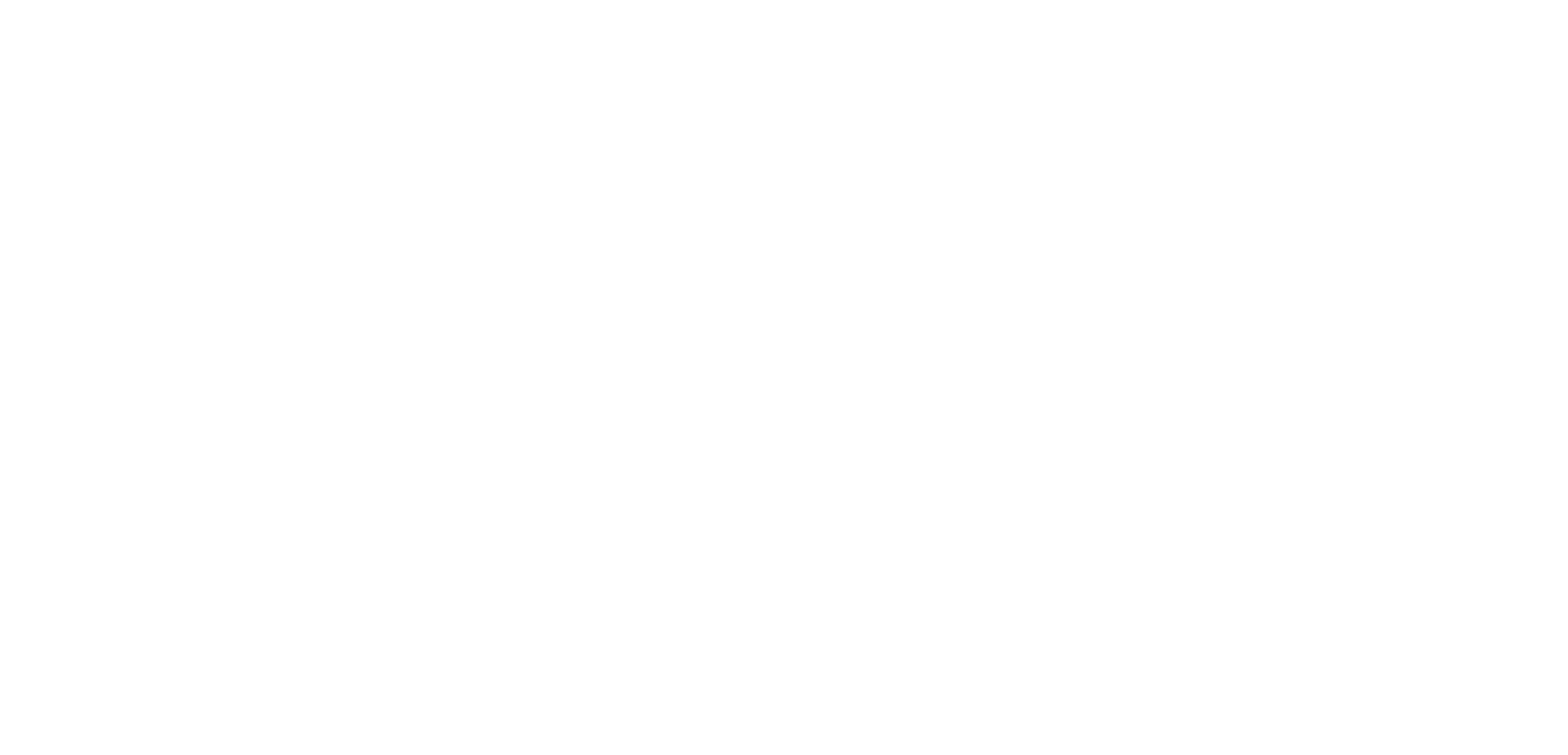 Levoのフッターロゴ